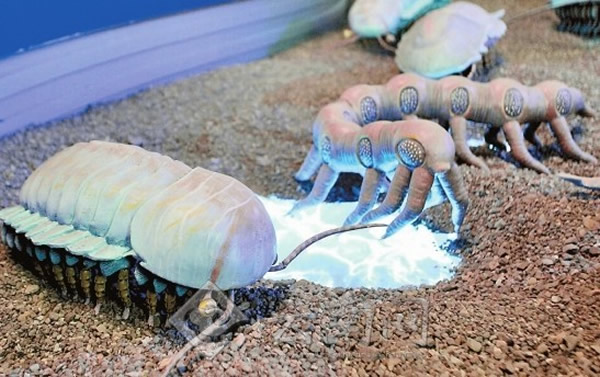 加强澄江化石群保护迫在眉睫