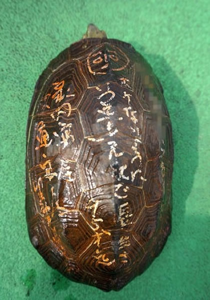 ļ׿ϳˡԶ١аȫԸ⣬пŮֵһ