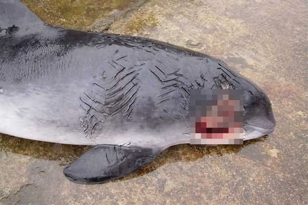 ౻൱򶪣˺ۣһ󶴡