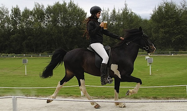 马各有各的步伐特点都是源自受人类活动影响而发生的基因突变