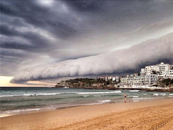 ����ѩ���Ϻ�̲��ճ��ֹ������ڵľ޴�����