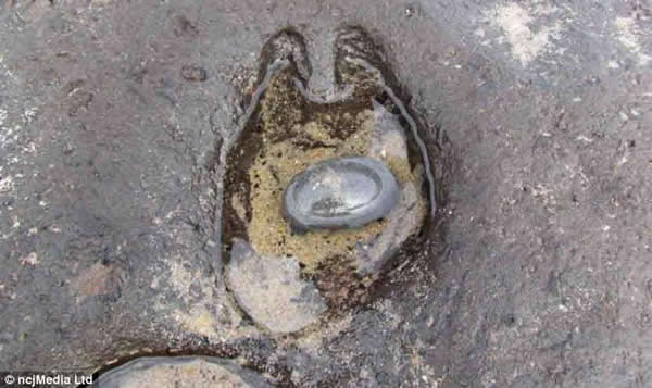 ѧӢŵɭ̲7000ǰͶ㼣