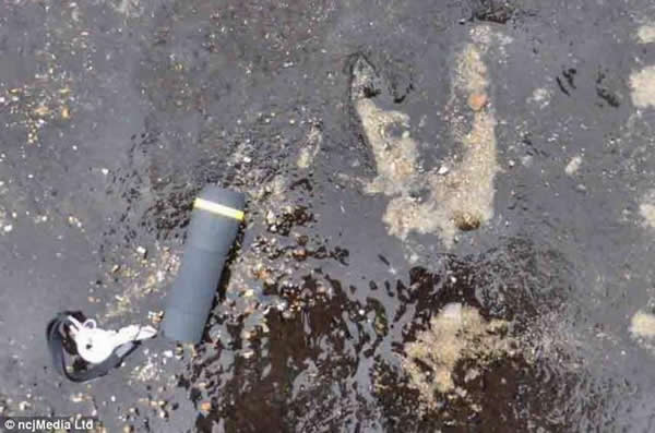 ѧӢŵɭ̲7000ǰͶ㼣