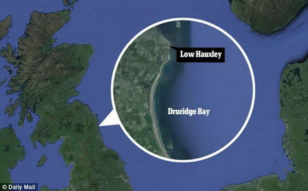 ѧӢŵɭ̲7000ǰͶ㼣