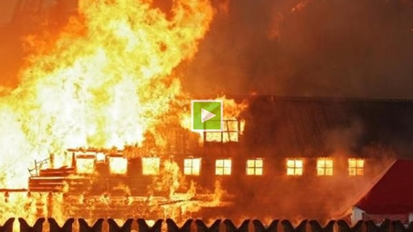 Ӣ��һֻ����δϨ����ͷ�����ݶ���������