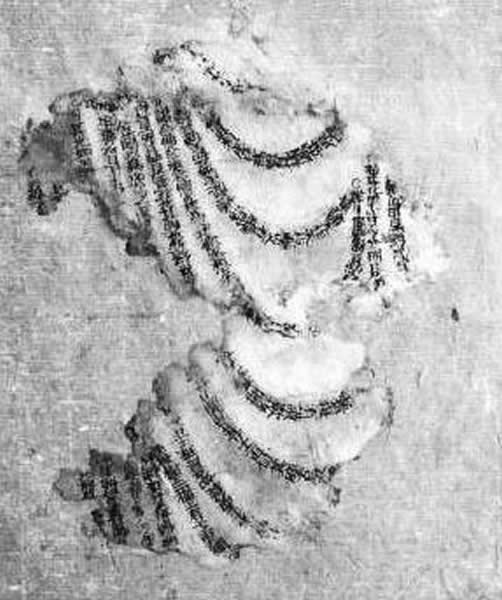 世界上现存最早的活字印刷品《佛说观无量寿佛经》