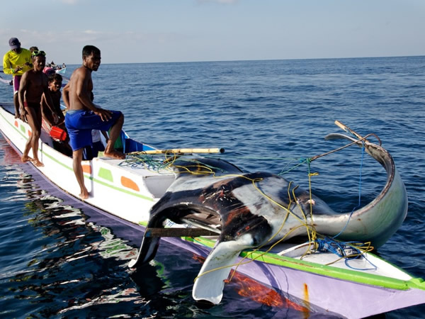 ӡ꿭ĺϣող˫ǰСļװϡ