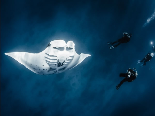 ӡǵﵺ򣬼λǱˮ̾ǰˡ