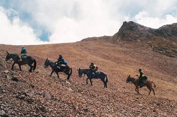 Ӣ���������ա��ǳ����ź����¼���1947�꣩