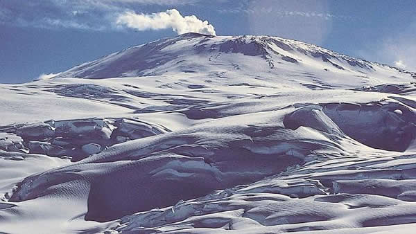 ��ɽ�������ܰ���һЩ�����ﰾ������ʱ��