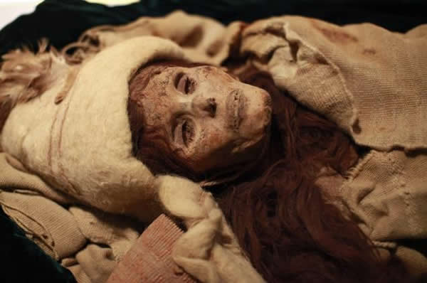 新疆塔里木盆地小河墓地3600年前随葬品中鉴定出世界上最早的奶酪实物