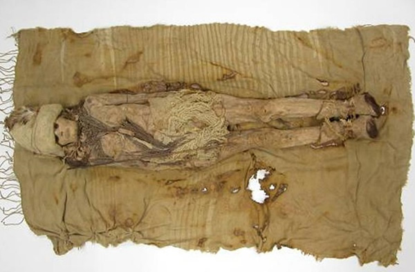 新疆塔里木盆地小河墓地3600年前随葬品中鉴定出世界上最早的奶酪实物