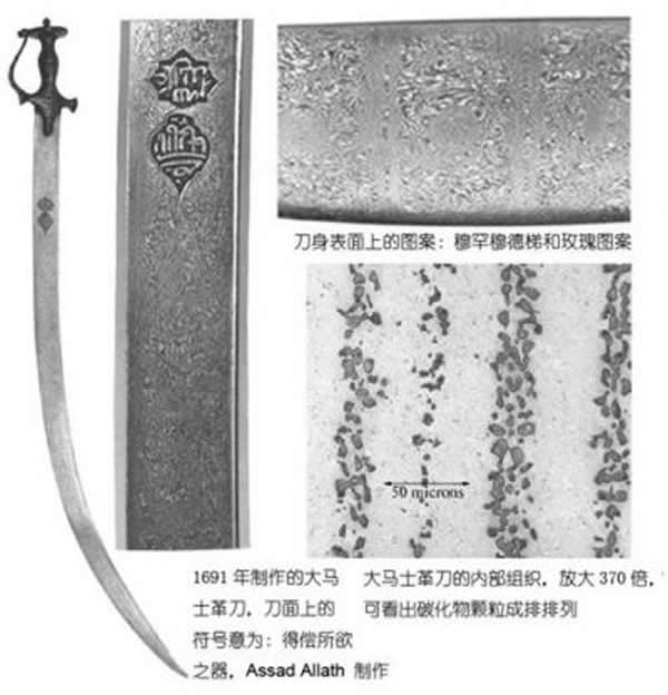 ���͵Ĵ���ʿ�ﵶ�������ˮ��״ͼ�����º��µ��ݺ�õ��ͼ�����Լ���Ӧ����֯���������еĴ�����̼�������