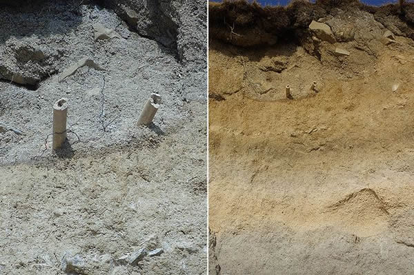 Ӣ��Ů��ɳ̲ɢ������800��ǰɮ���Ź�