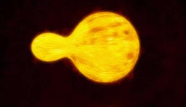 天文学家发现迄今为止在银河系中观察到的最大恒星HR 5171 A