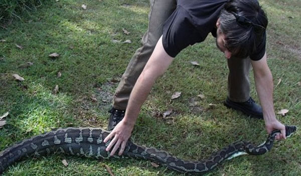 ����Ů�Ӻ�Ժ�Ұ�Ȯ�����ĶǾ���