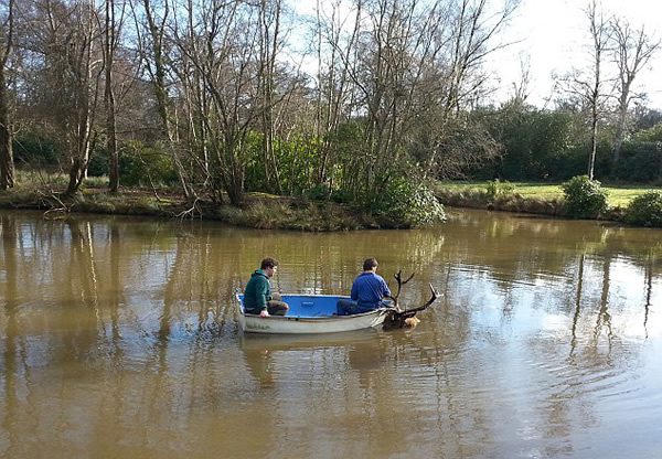 英国红鹿王被偷猎者射中头部淹死