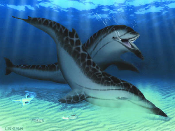 Semirostrum ceruttii的复原图