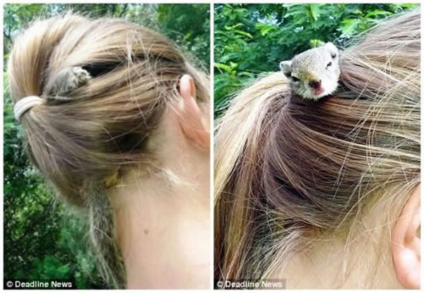 ��������ľ�Ů��ͷ����Ը�뿪