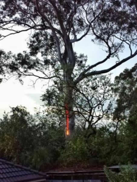 ���������������Ȼ��Ѫ