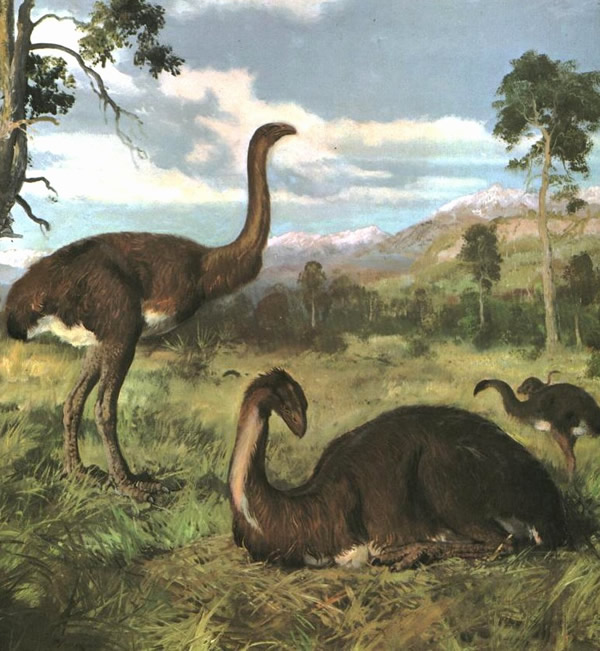 ������������������Ⱥ�����ൽ��֮ǰû��Я����Ⱥ˥�˵��Ŵ�����