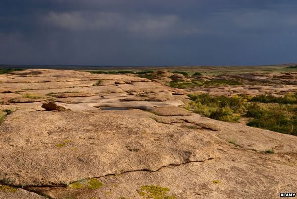 飞往哈萨克(Flew to Kazakhstan)