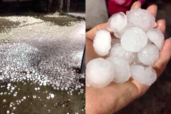 �㽭̨�������ش����Ϯ��