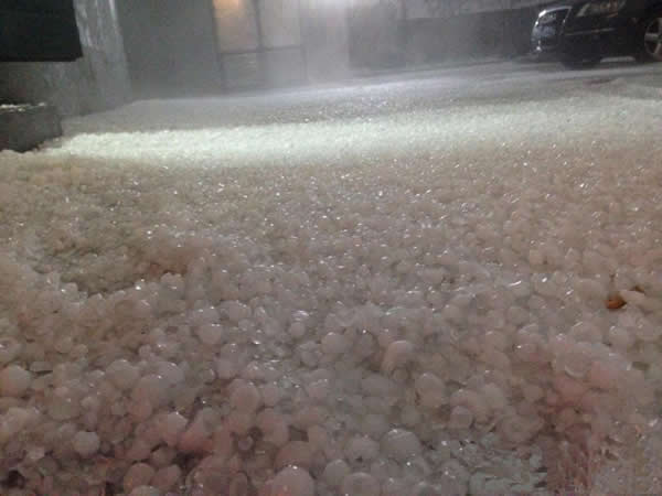 �㽭̨�������ش����Ϯ��