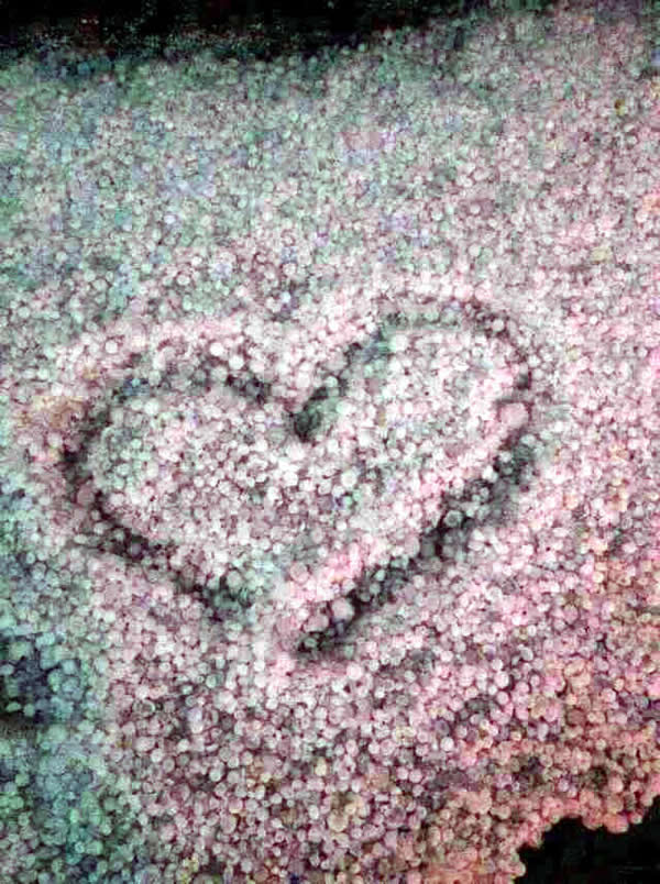 �㽭̨�������ش����Ϯ��