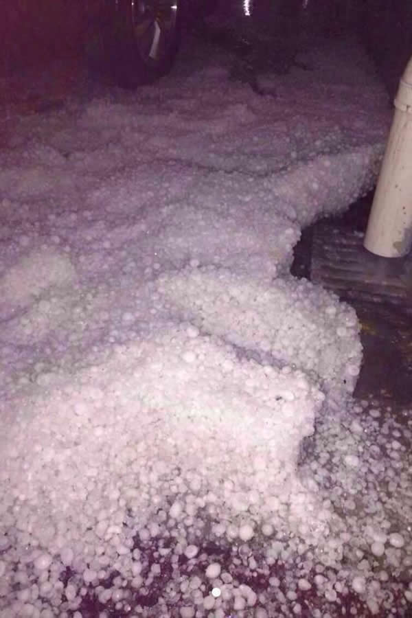 �㽭̨�������ش����Ϯ��