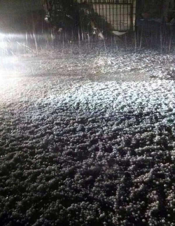 �㽭̨�������ش����Ϯ��