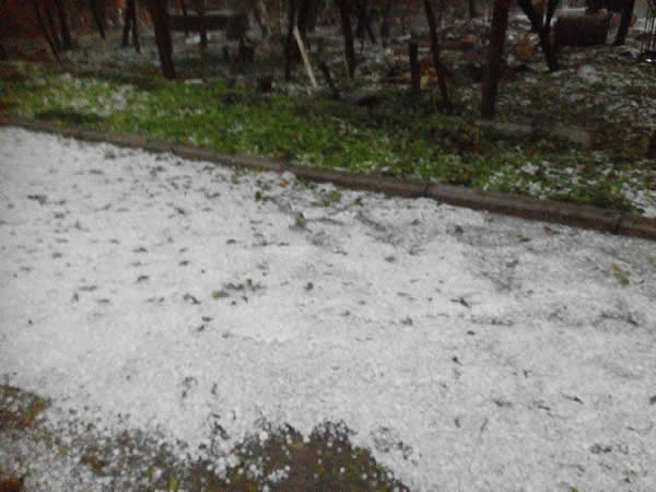 �㽭̨�������ش����Ϯ��