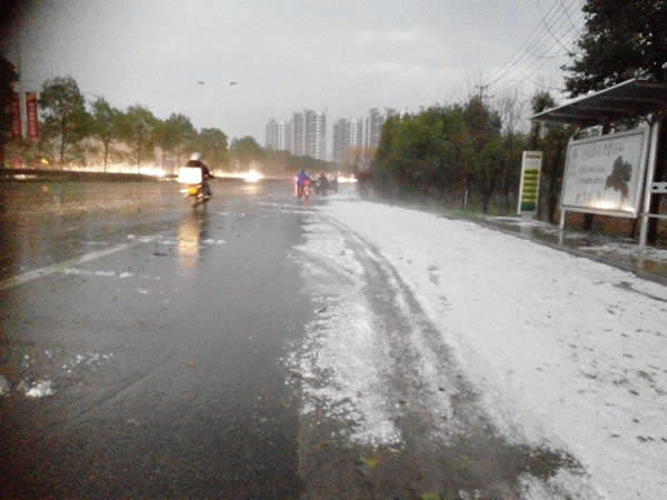 �㽭̨�������ش����Ϯ��