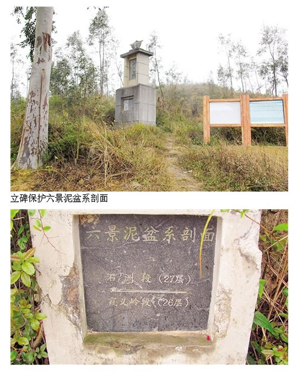 ����������������ϵ����