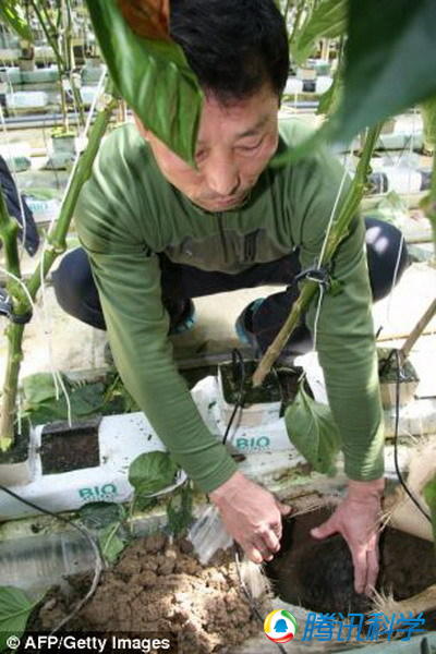 落入温室中的9公斤陨石所在位置。