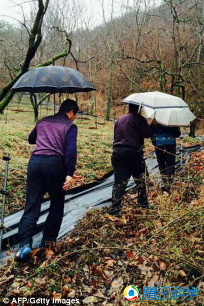 越来越多的寻宝者开始搜寻坠落的陨石碎片。