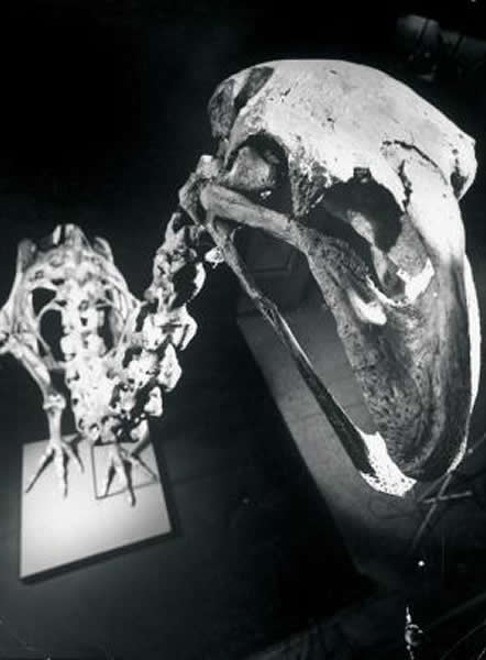 ��������ǵ������������������Ļ������