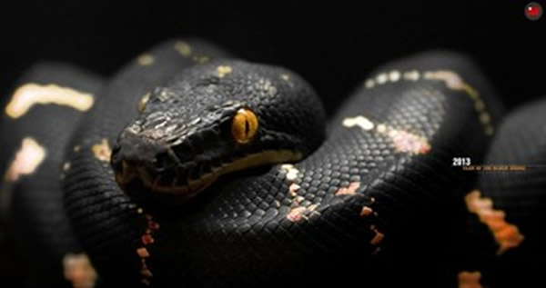 ���㱻������ʮ�����������Ҳ���ҵ��ؼҵ�·