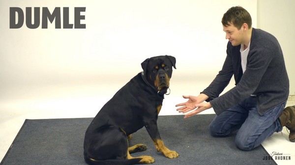 芬兰魔术师突然把手上食物变走 狗狗疑惑地东张西望