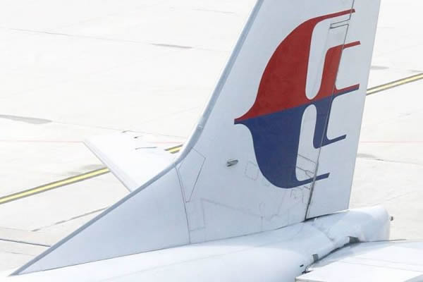 马航一客机在尼泊尔降落时撞上鸟群