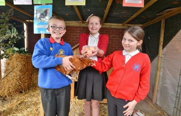 Ӣ��һֻ�������������ĸ����������