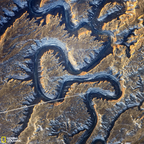 ʿռվԱݸֺӡᡱ