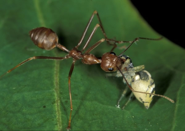 ���������ϵ�����