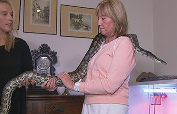 莎伦和她饲养的蟒蛇