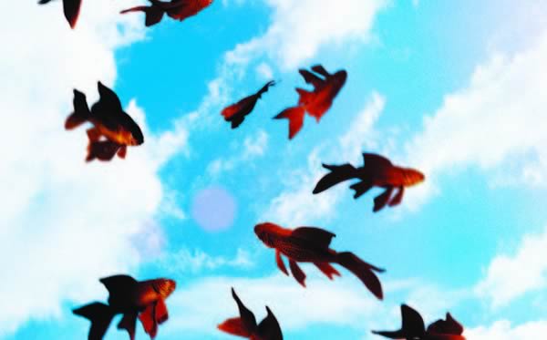 ����������