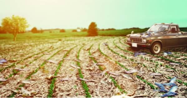 ����������