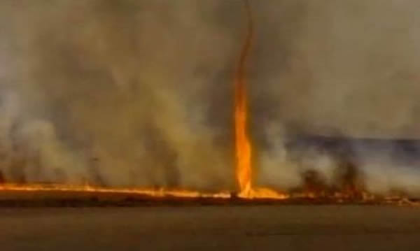 ���������о��ֻ�����