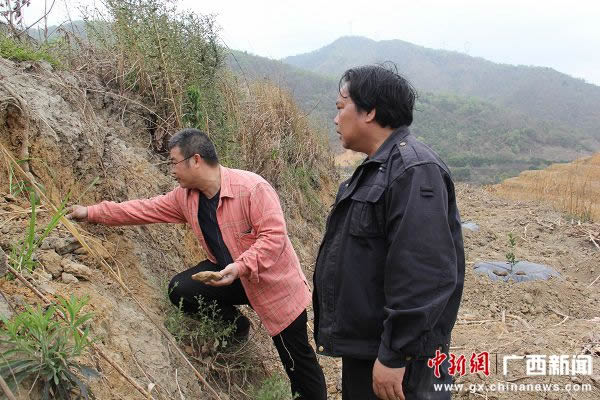 ����ר�����ڹ�����ɫ�������ؽ������׿���