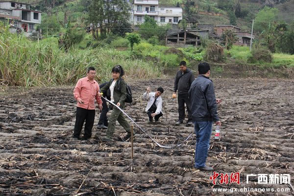 ����ר�����ڹ�����ɫ�������ؽ������׿���