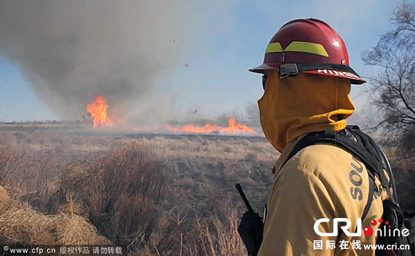 ���������о��ֻ��������